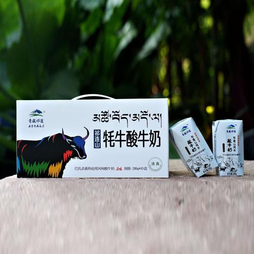 稳健前行 邵子恒与企业的多元发展之路